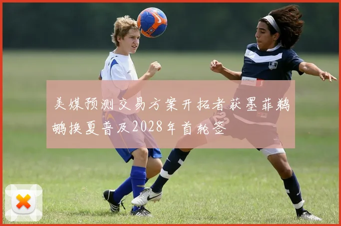 美媒预测交易方案开拓者获墨菲鹈鹕换夏普及2028年首轮签