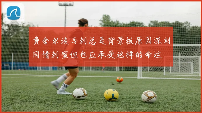 费舍尔谈马刺总是背景板原因深刻同情刺蜜但也应承受这样的命运