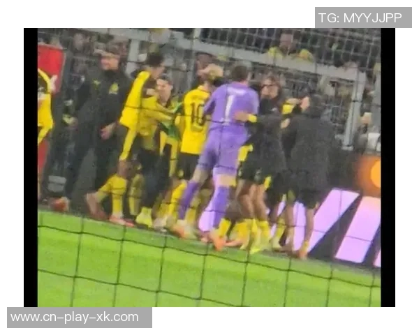 绝杀时刻!拜尔狂奔释放激情难以自控庆祝方式成谜 绝杀时刻!拜尔狂奔释放激情难以自控庆祝方式成谜