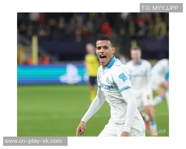 法甲身价上涨榜揭晓维蒂尼亚内维斯领涨2000万青木紧随其后